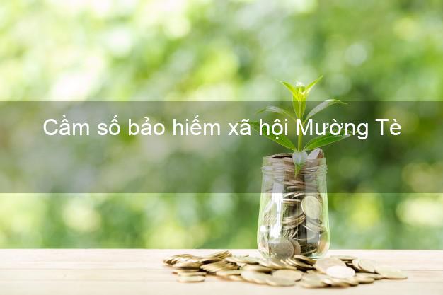 Cầm sổ bảo hiểm xã hội Mường Tè Lai Châu Cầm sổ bảo hiểm xã hội Mường Tè Lai Châu