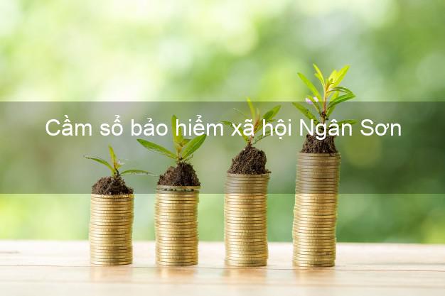 Cầm sổ bảo hiểm xã hội Ngân Sơn Bắc Kạn Cầm sổ bảo hiểm xã hội Ngân Sơn Bắc Kạn
