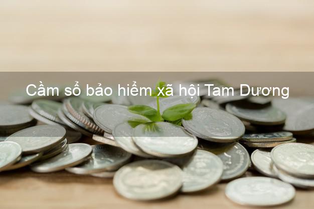 Cầm sổ bảo hiểm xã hội Tam Dương Vĩnh Phúc Cầm sổ bảo hiểm xã hội Tam Dương Vĩnh Phúc